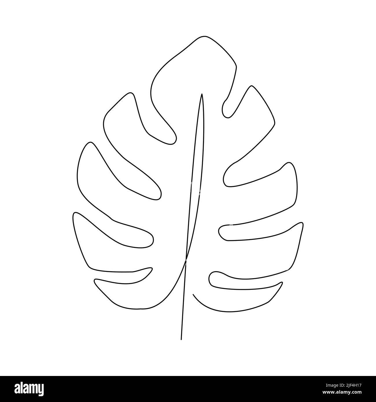 Dessin d'une ligne de feuilles de palmier tropicales. Illustration vectorielle. Illustration de Vecteur