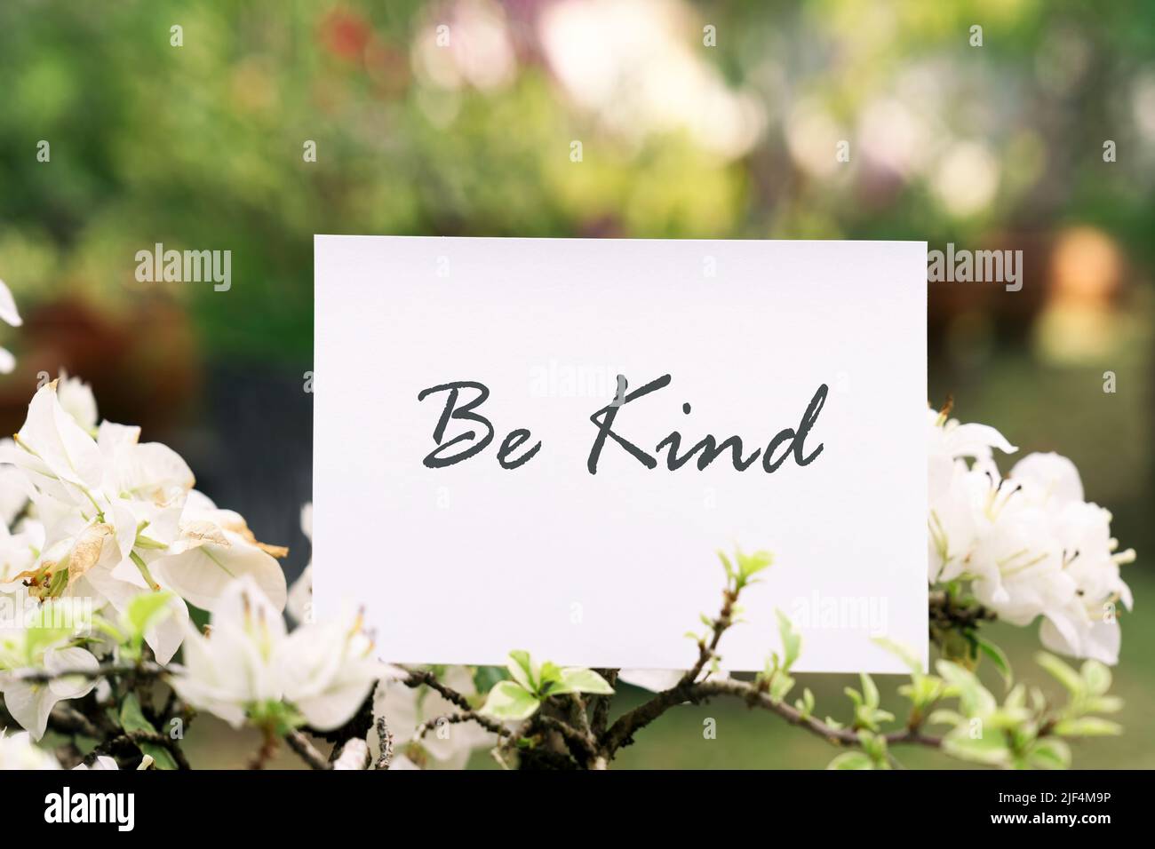Citations motivationnelles et inspirantes de la vie : soyez aimable Banque D'Images