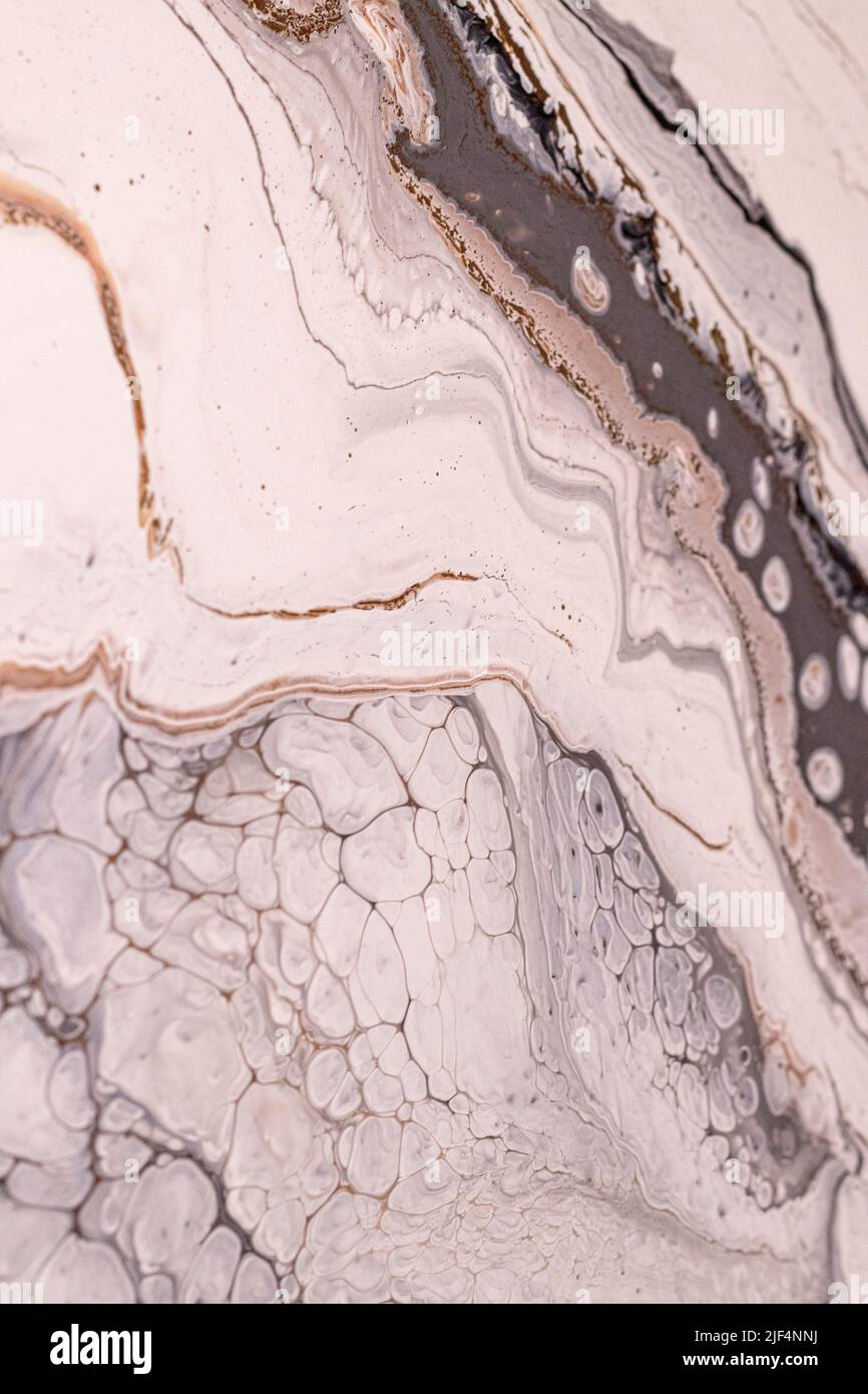 Luxe naturel résumé peinture d'art fluide dans la technique de l'encre d'alcool. Banque D'Images