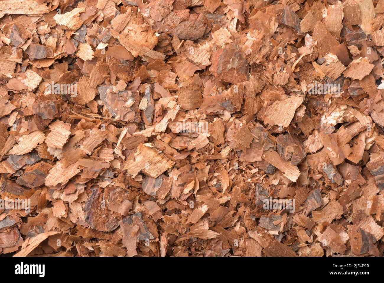 Vue de dessus de la texture des copeaux de paillis d'écorce de pin Banque D'Images