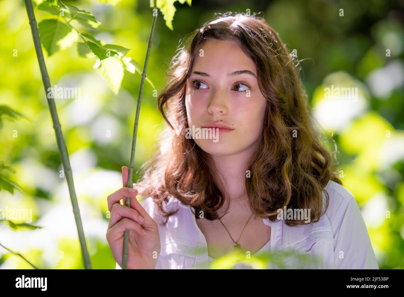 Portrait de la jeune femme dans la forêt de séquoias Banque D'Images