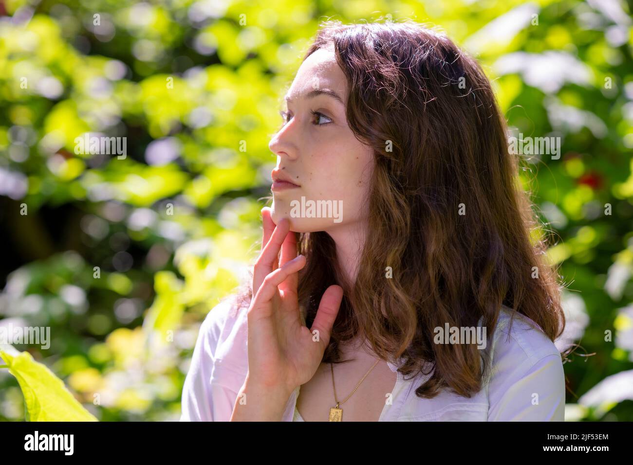 Portrait de la jeune femme dans la forêt de séquoias Banque D'Images