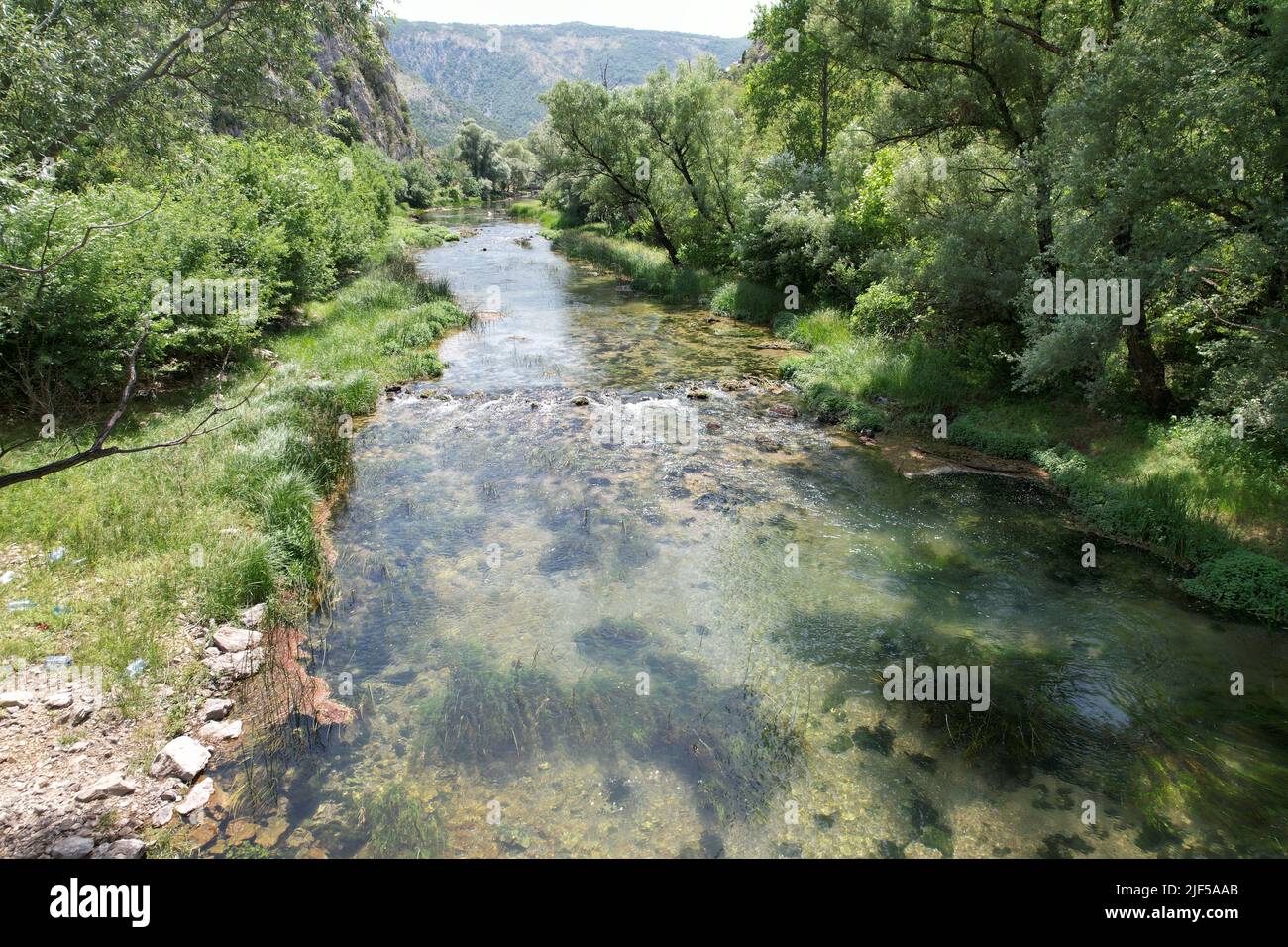 Rivière Bunica à Blagaj Banque D'Images