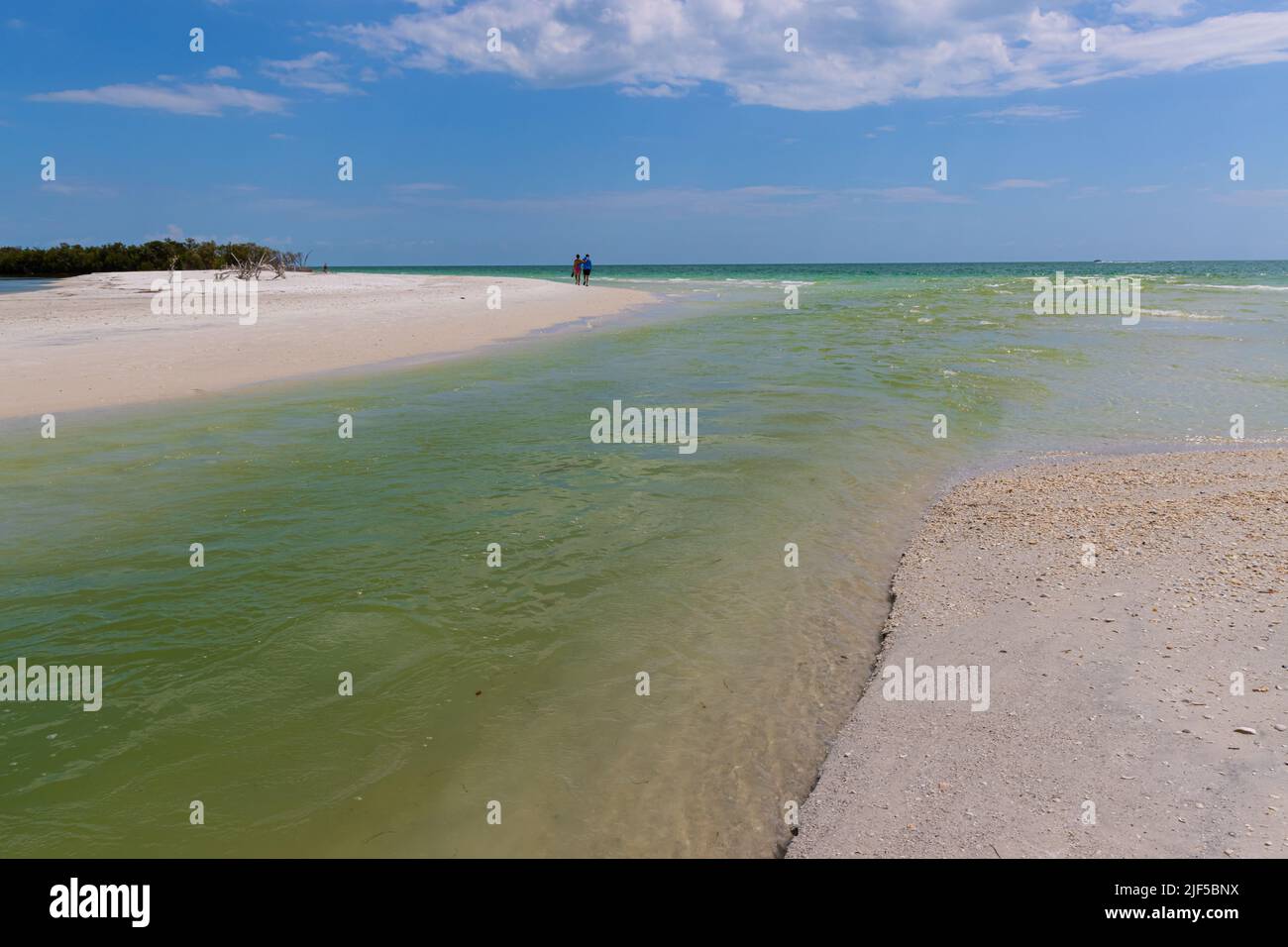 Couple marchant sur la plage de Tigertail, Marco Island, Floride, États-Unis Banque D'Images