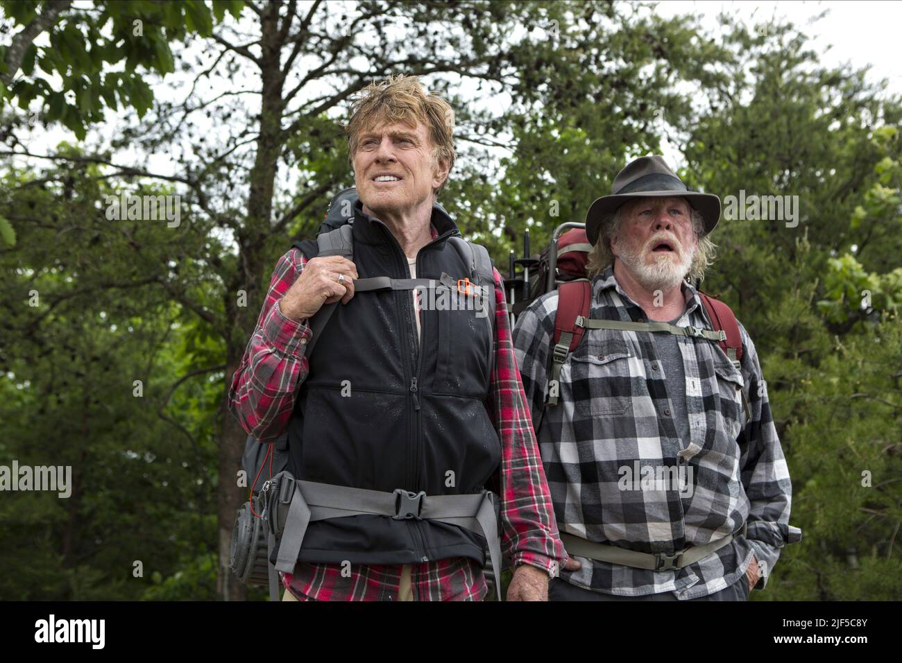 REDFORD, Nolte, UNE PROMENADE DANS LES BOIS, 2015 Banque D'Images