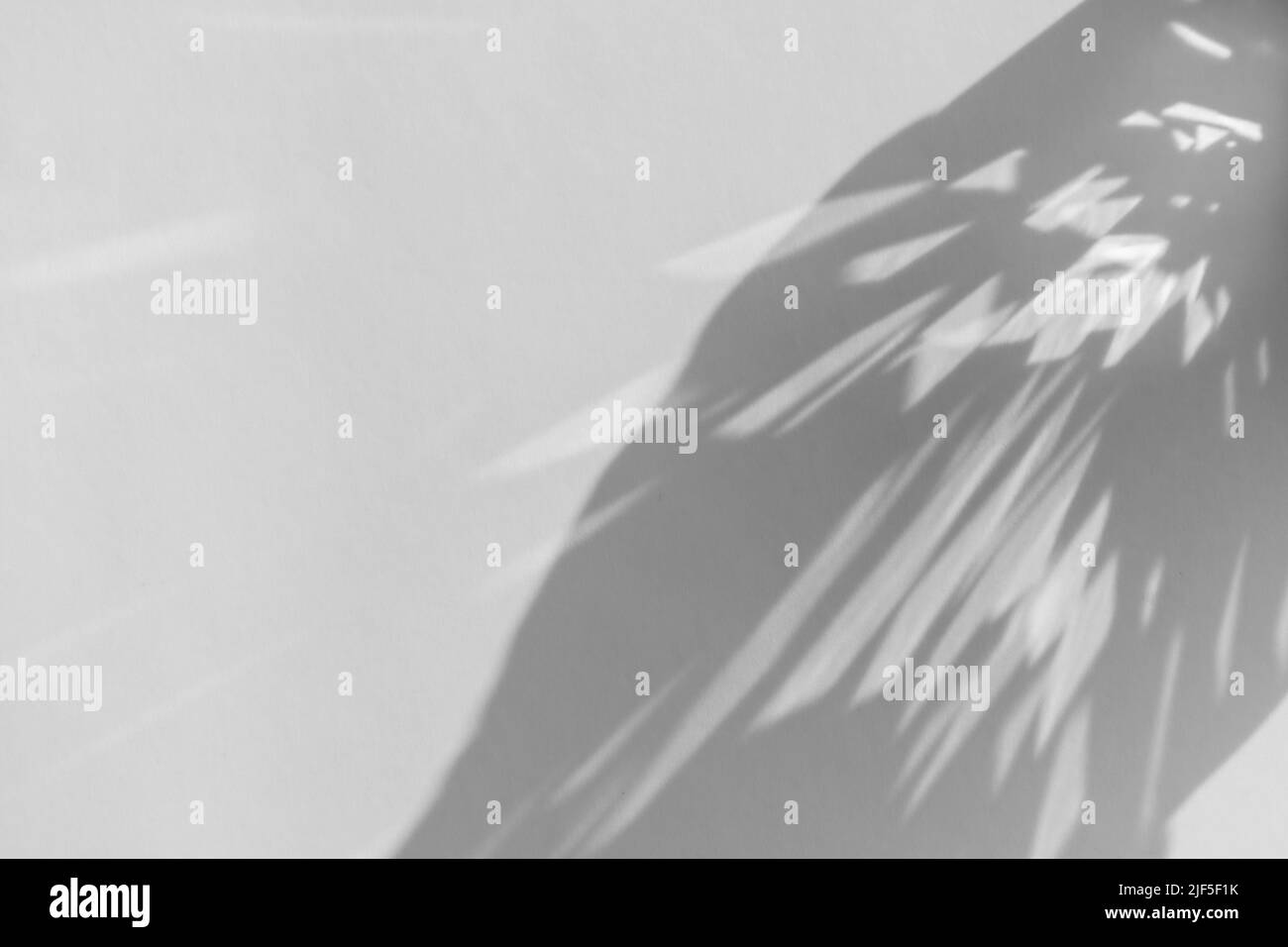 Réfraction de l'ombre et de la lumière sur effet photo de recouvrement de paroi blanche, rayons solaires se réfractant à travers le verre et le prisme, effets caustiques flous. Lumière naturelle Banque D'Images Réfraction de l'ombre et de la lumière sur effet photo de recouvrement de paroi blanche, rayons solaires se réfractant à travers le verre et le prisme, effets caustiques flous. Lumière naturelle Banque D'Images