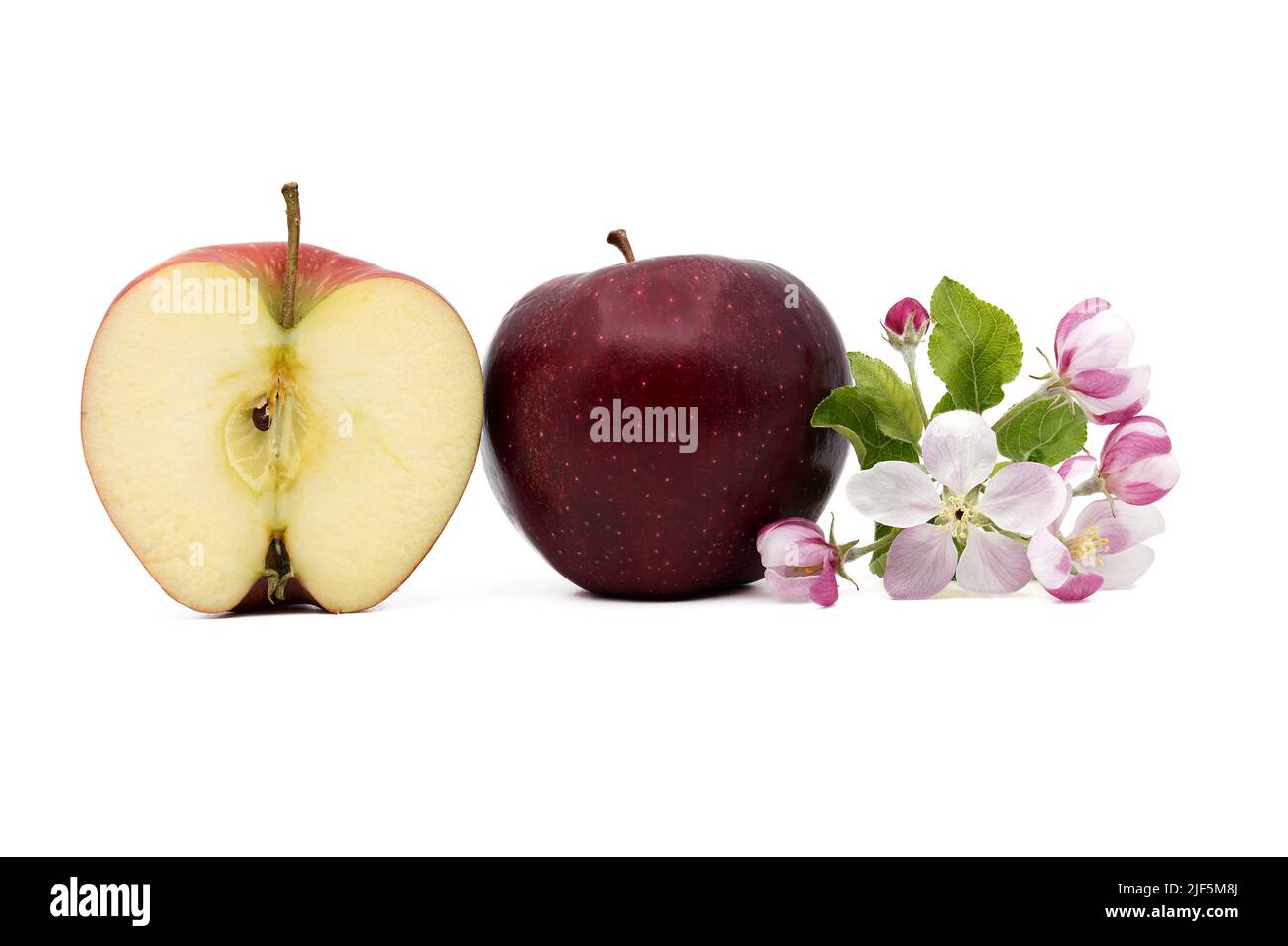 Pomme rouge à côté des tranches de pomme et des fleurs de pomme isolées sur un fond blanc Banque D'Images