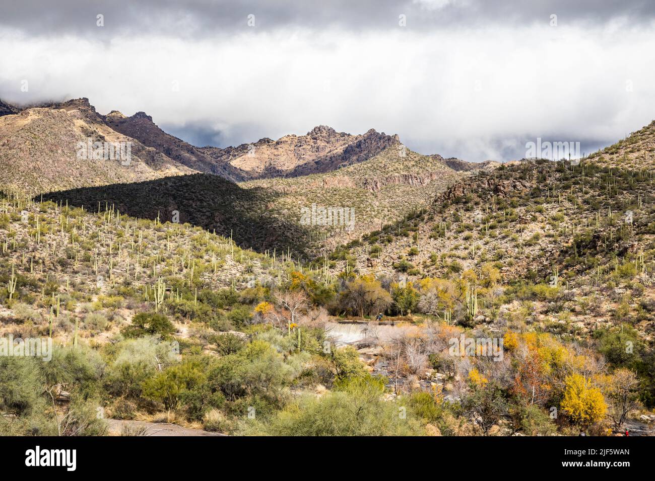 Aire de jeux de Sabino Canyon à l'extérieur de Tuscon, Arizona. Barrage de Sabino Creek. Banque D'Images