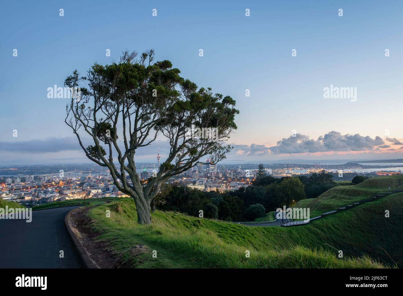 Vue sur la ville d'Auckland depuis le sommet du Mont Eden, avec Sky Tower encadré par l'arbre Pohutukawa au sommet de la colline. Banque D'Images