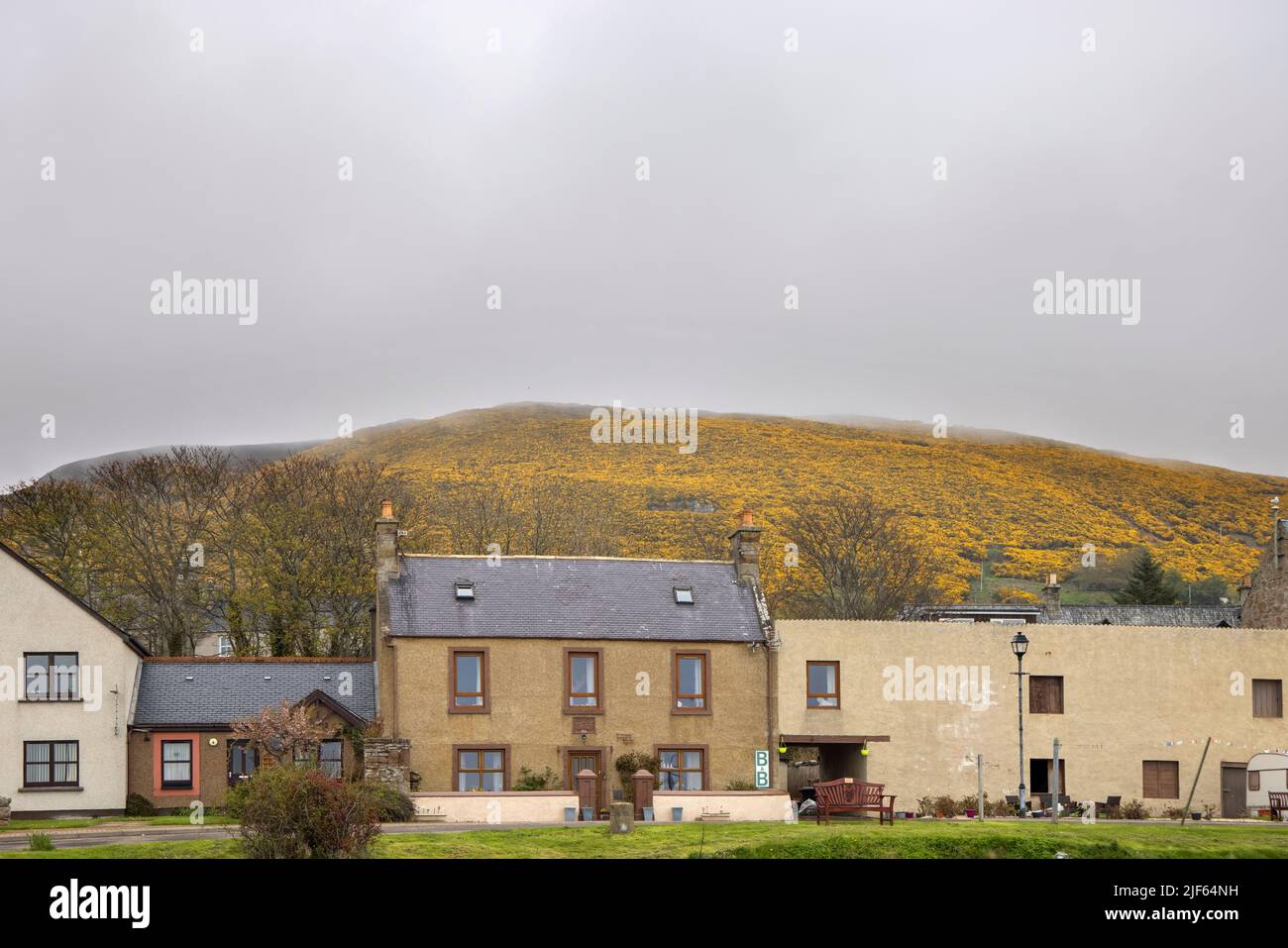 maisons entourées de collines de gorges jaunes à helmsdale, sur la côte est de l'écosse Banque D'Images