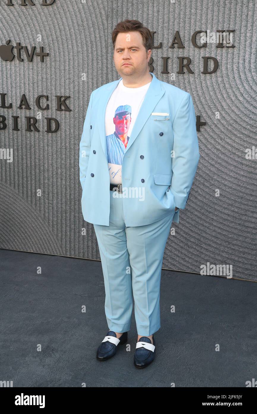 Peliculas Y Programas De Tv De Paul Walter Hauser Los Angeles, Californie, 29 juin 2022 - - Paul Walter Hauser, Los Angeles  première d'Apple TV+ Nouveau spectacle 'Black Bird' au Regency Bruin  Theatre de Los Angeles. Crédit photo : AdMedia/Sipa USA