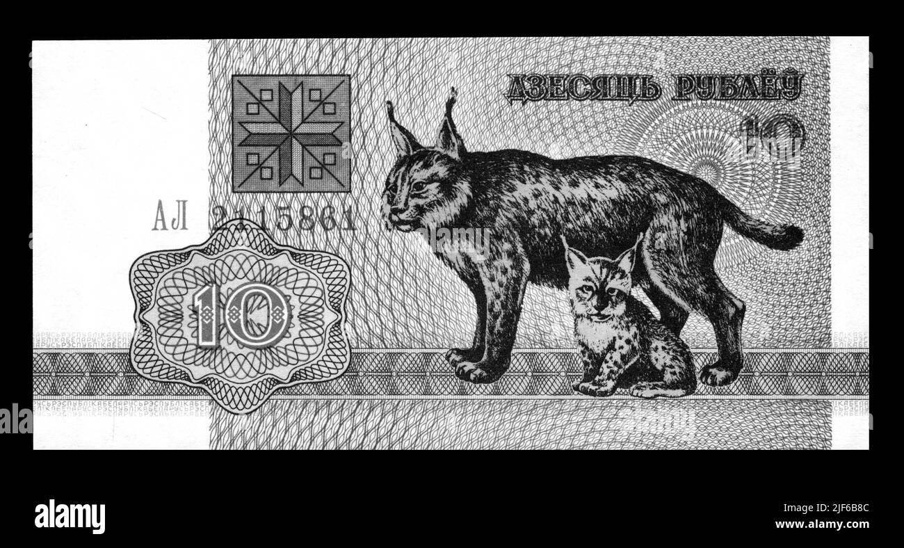 Photo Banknote Belarus, 1992,10 roubles, lynx Banque D'Images