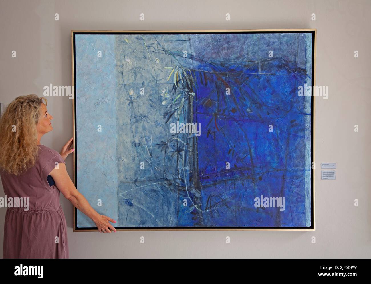 The Scottish Gallery, Dundas Street, Édimbourg, Écosse, Royaume-Uni. 30th juin 2022. La Galerie accueille une collection dynamique d'artistes renommés, dont Wilhelmina Barns-Graham, John Brown, Jake Harvey, Kurt Jackson et Alex Knubley. Photo: Fiona avec John Brown passion Flower et pois doux gousses 2021, acrylique et collage sur le sanglier photo crédit: Arch White/alamy Live news. Banque D'Images