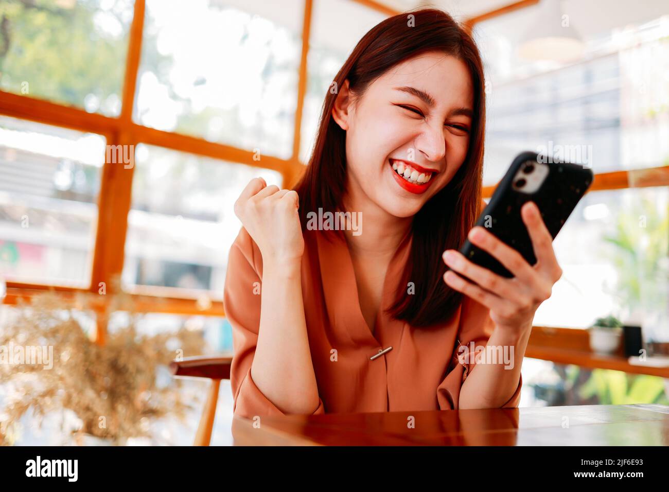 Portrait d'une jeune femme asiatique joyeuse se sentant excitée par la victoire d'un panier cadeau dans un smartphone tout en se relaxant dans un café moderne Banque D'Images