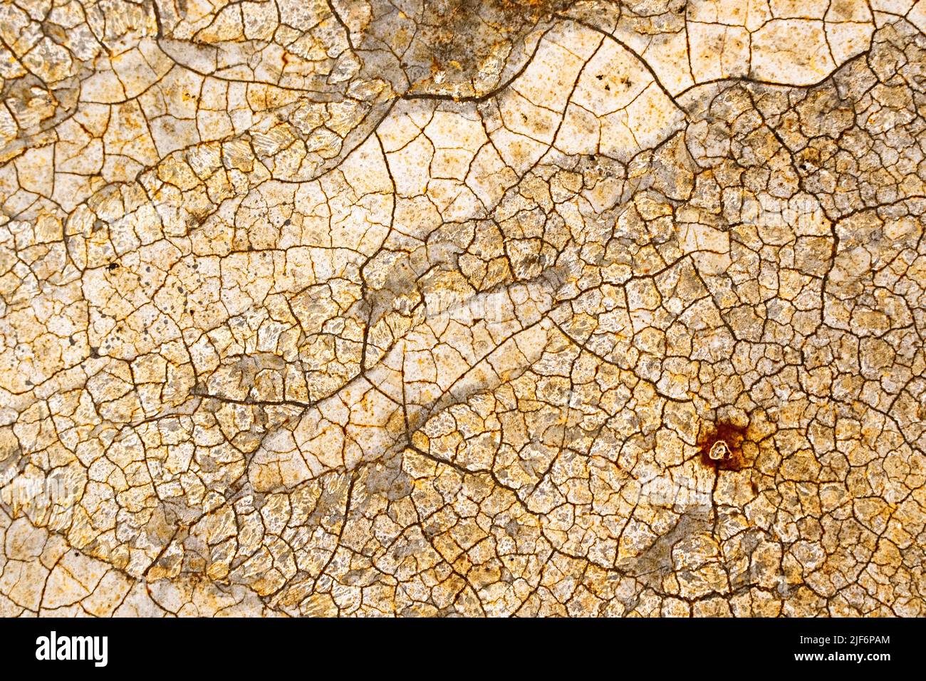 Vue aérienne plein cadre de l'arrière-plan abstrait avec fissures sur la surface avec texture séchée Banque D'Images