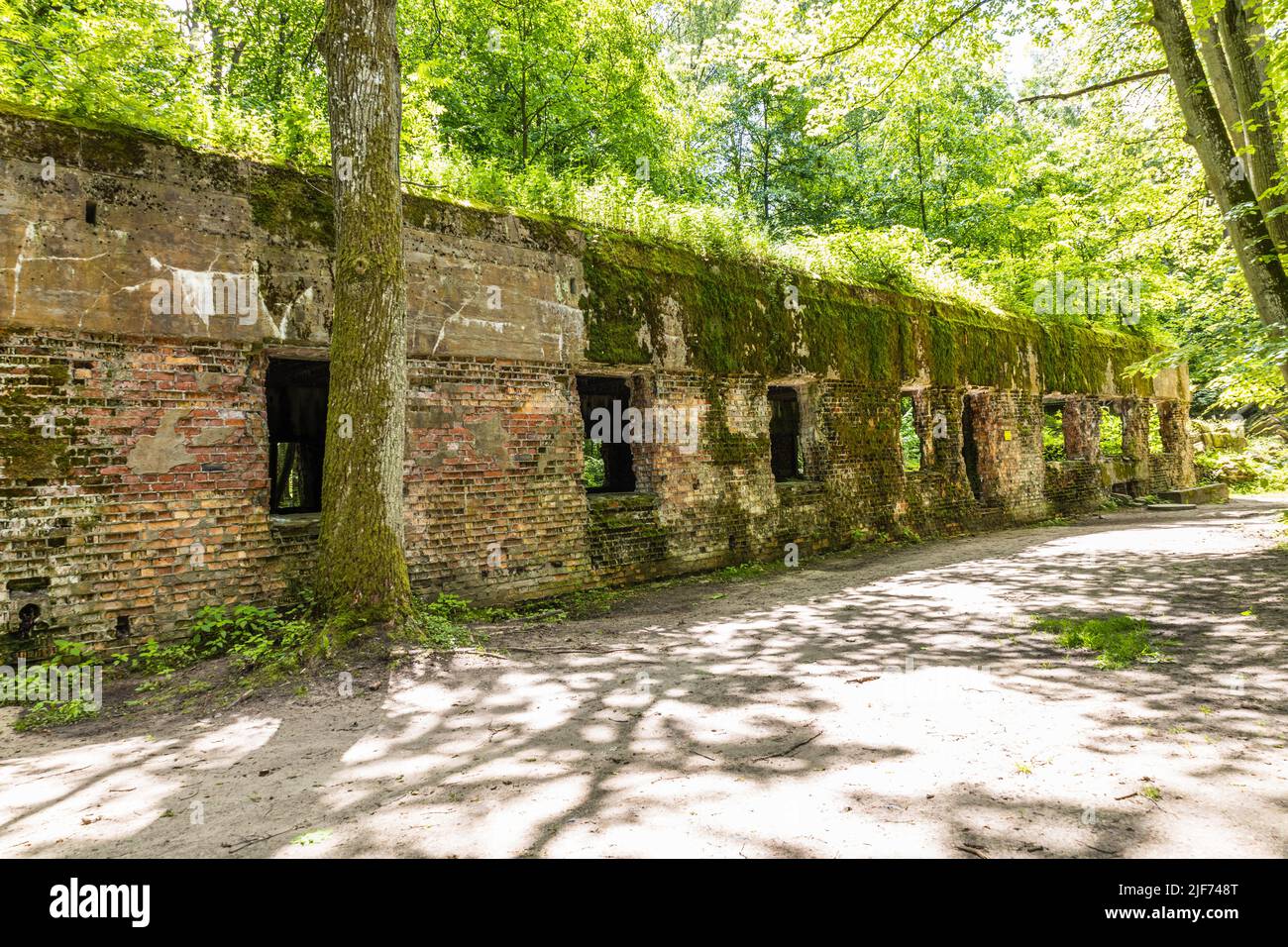 Ruines d'un bâtiment dans le Wolf's Lair. Ancien quartier général de guerre d'Adolf Hitler en Pologne Banque D'Images