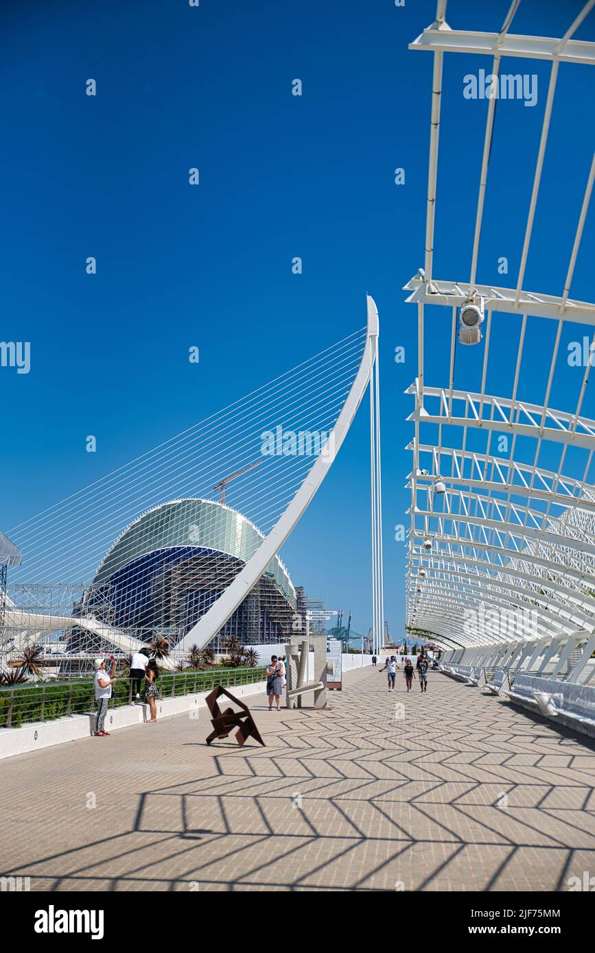 ciudad de las artes y las ciencias à Valence Architecture futuriste espagnole; Cité des Arts et des Sciences par Santiago Calatrava à Valence, Espagne Banque D'Images