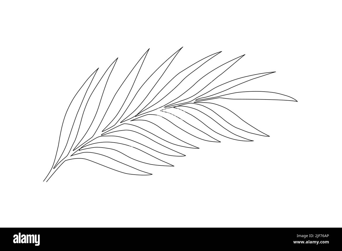 Une ligne continue de feuilles d'arbres. Vector illustration. Illustration de Vecteur