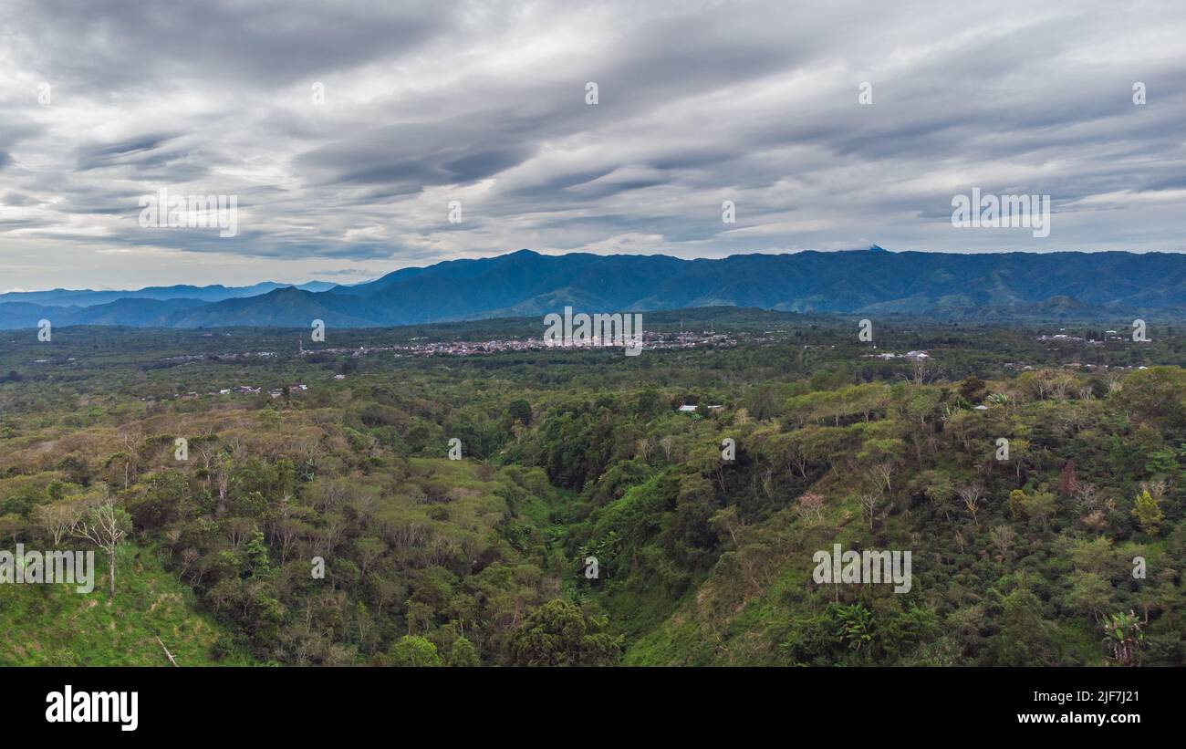 Forêts tropicales à Aceh, Indonésie. Banque D'Images