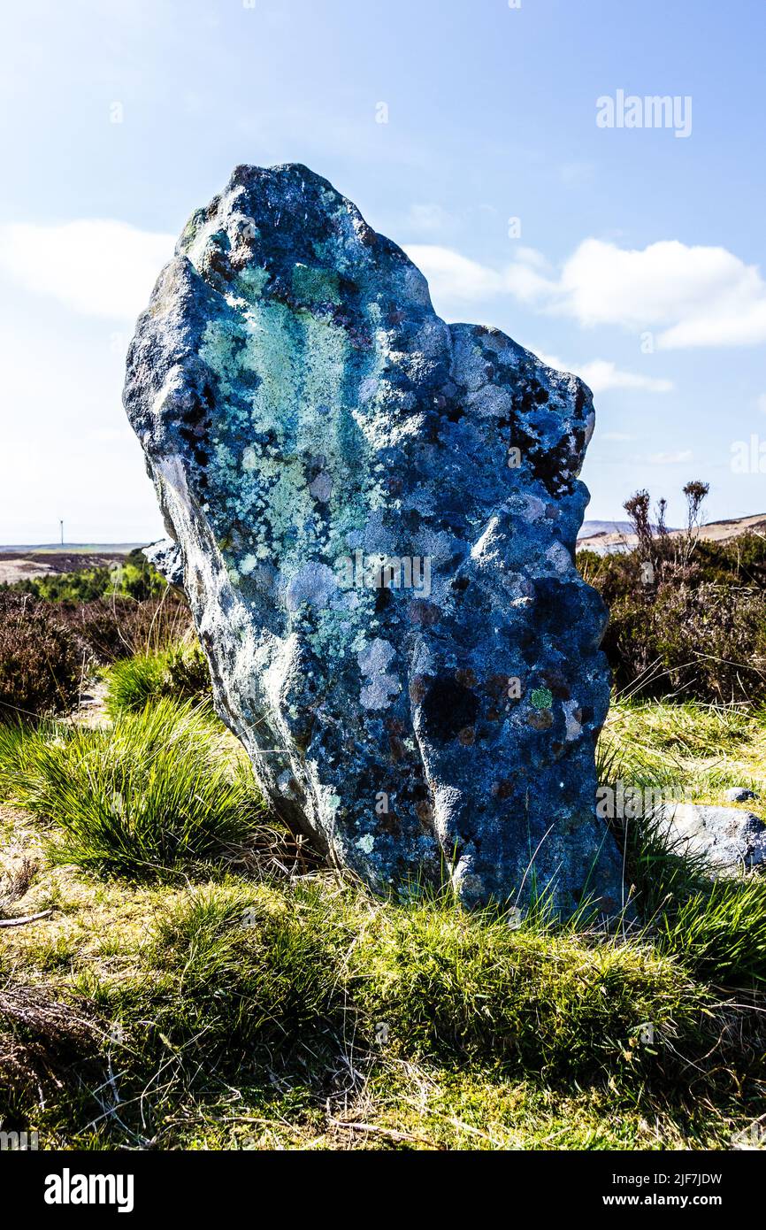 Une seule pierre dans le cercle de pierre de Pobull Fhinn sur North Uist. Banque D'Images