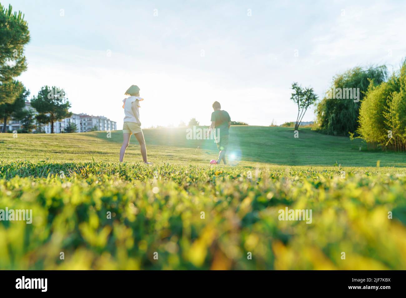 Les enfants courent dans le champ sur l'herbe verte au coucher du soleil. Banque D'Images