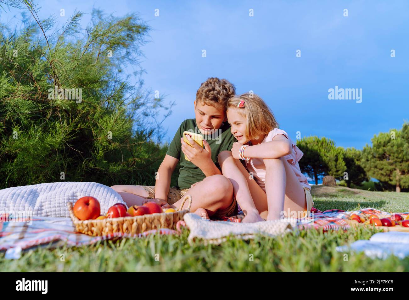 Frère et sœur sur un pique-nique regardant un smartphone. Banque D'Images