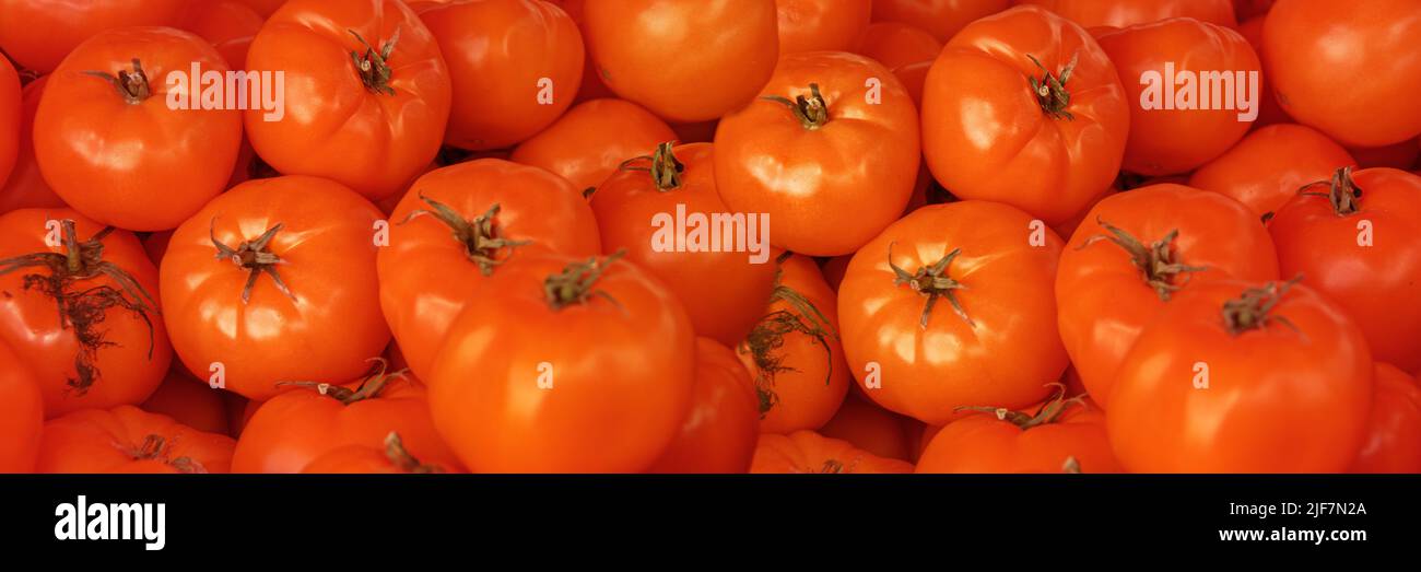 Tomates orange fraîches comme arrière-plan. Délicieuses tomates rouges en plateau d'été marché agricole ferme pleine de bio. Tomates fraîches, il peut être utilisé comme Banque D'Images
