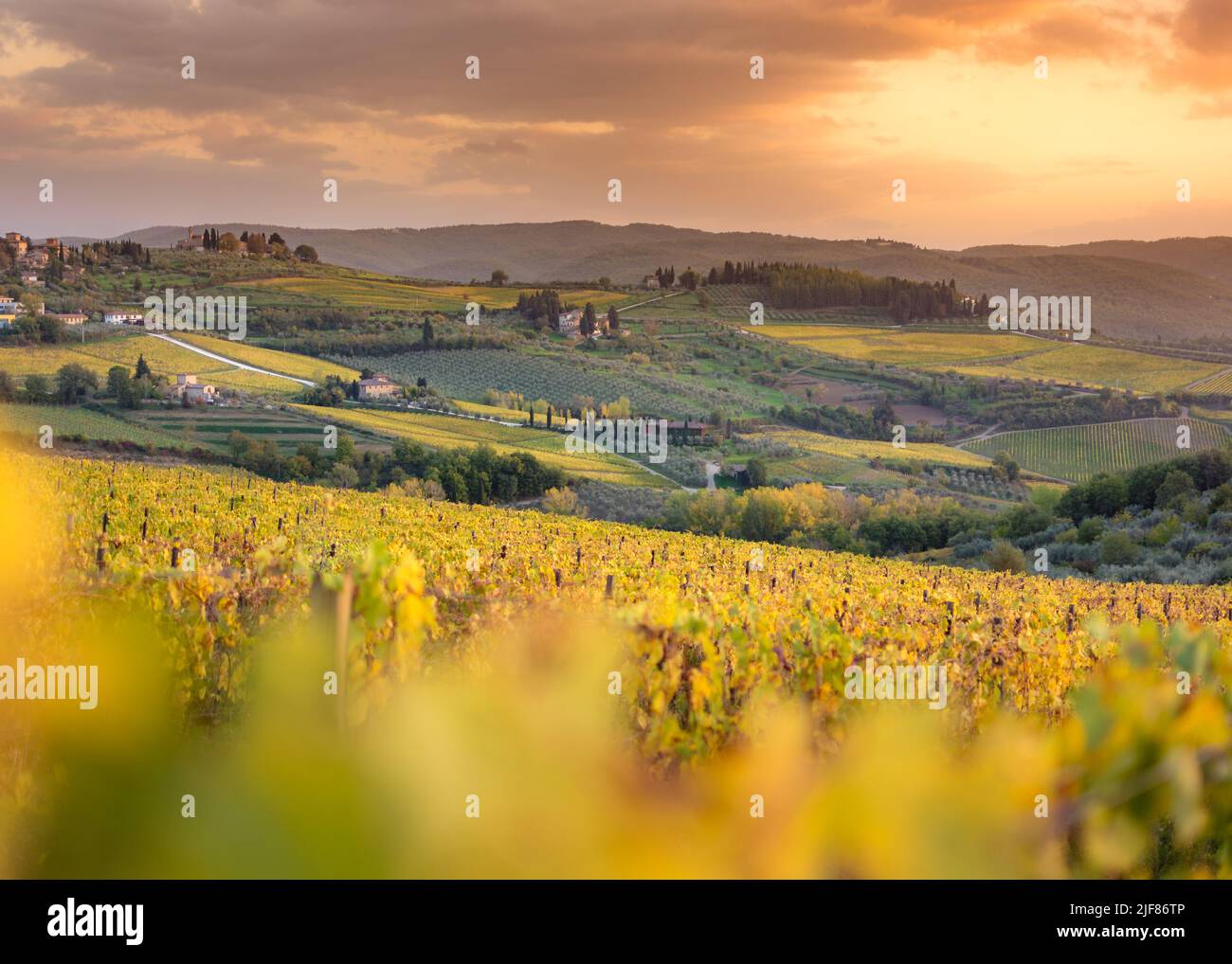 Panzano in Chianti vignoble et panorama au coucher du soleil en automne. Toscane, Italie l'Europe. Banque D'Images