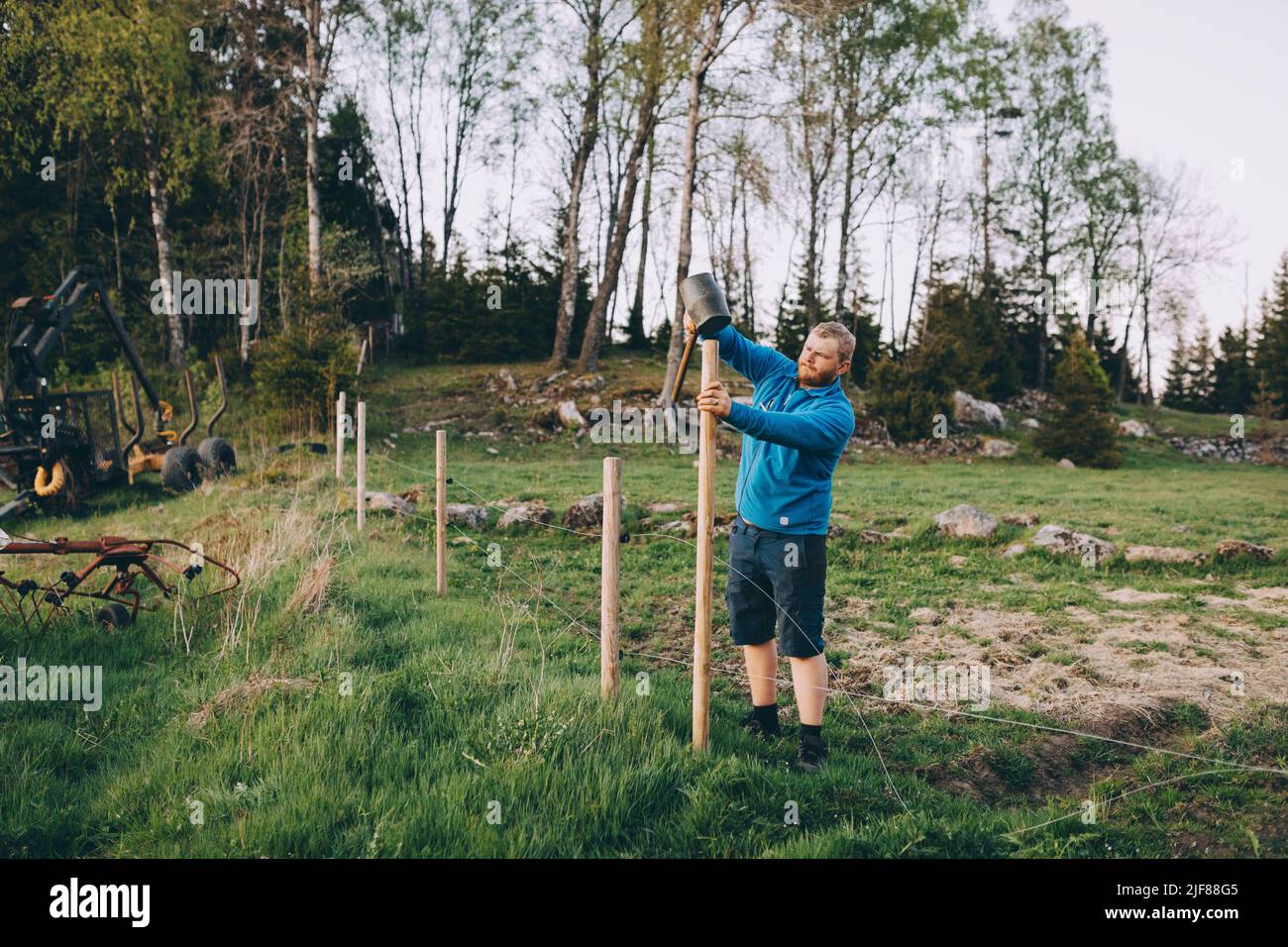 Un fermier martelant un poteau en bois tout en faisant une clôture à la ferme pendant le coucher du soleil Banque D'Images