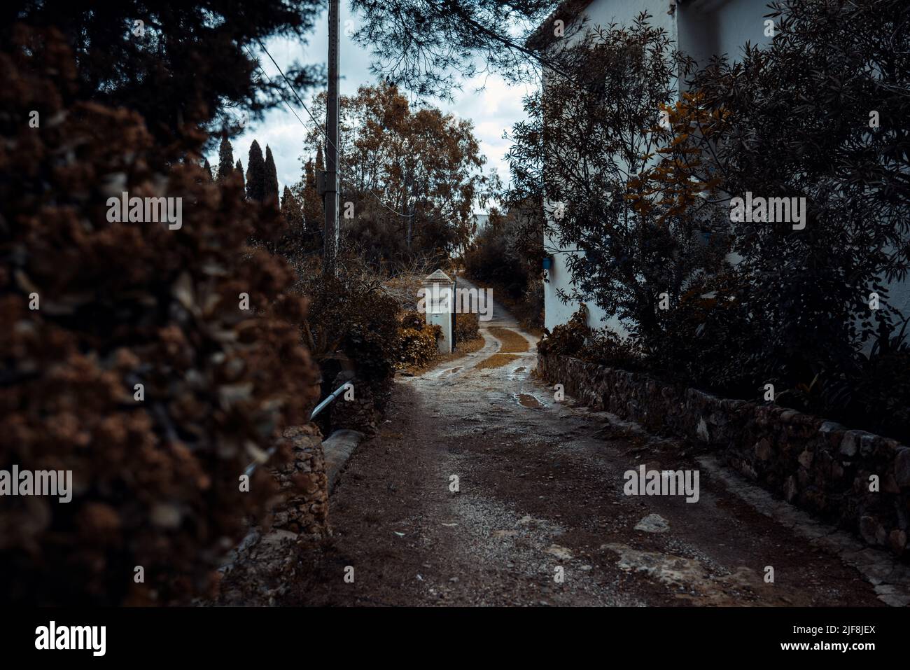 Route créepy et solitaire vers le jardin de roses à Mijas Banque D'Images