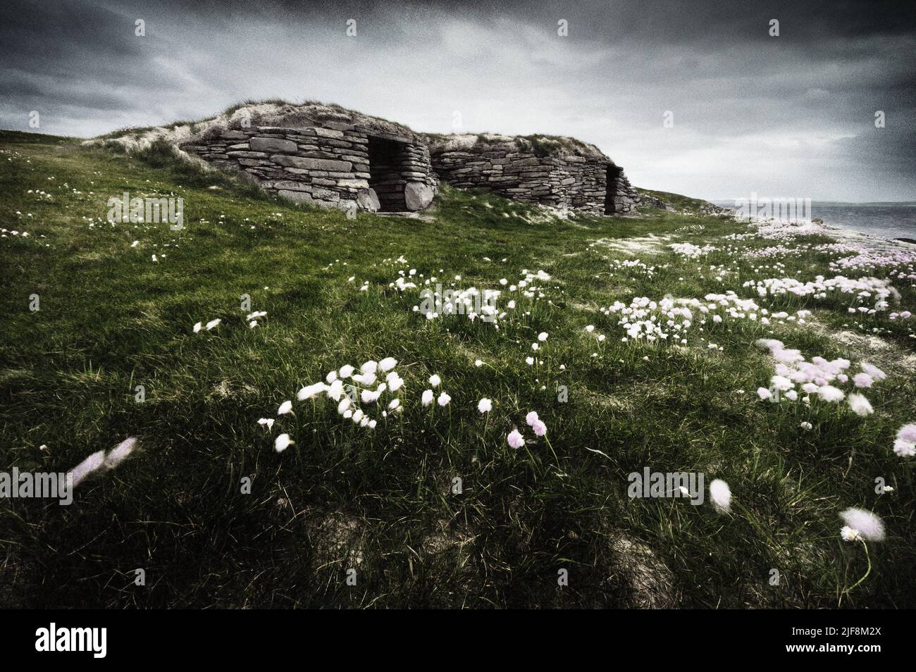 The Knap of Howar, Papa Westray, Orcades. La plus ancienne habitation connue au Royaume-Uni Banque D'Images