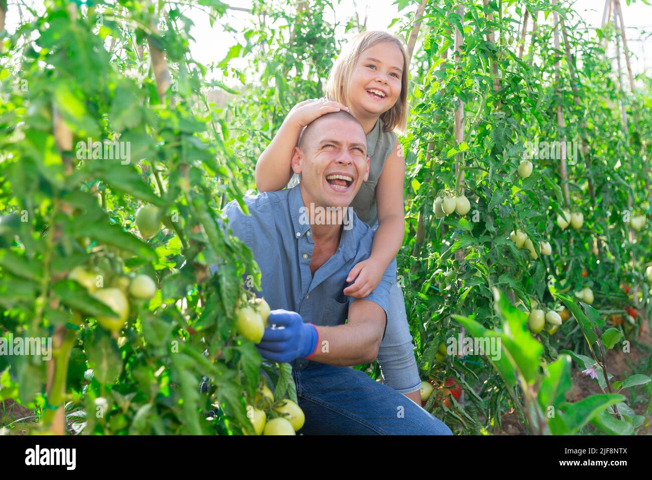 Père et fille s'amusant dans le jardin Banque D'Images