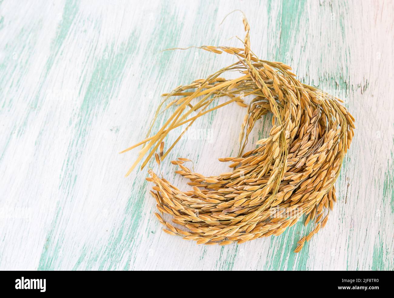 Riz paddy sur fond de bois Banque D'Images