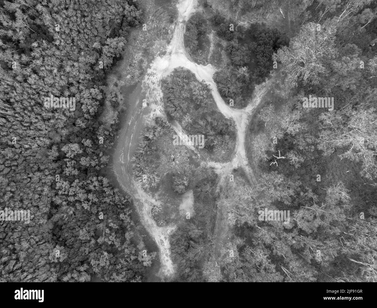 Vue aérienne sur le Bush et un lit de ruisseau sec. Cadre rural avec une végétation de sel. Vue de dessus de drone. Banque D'Images