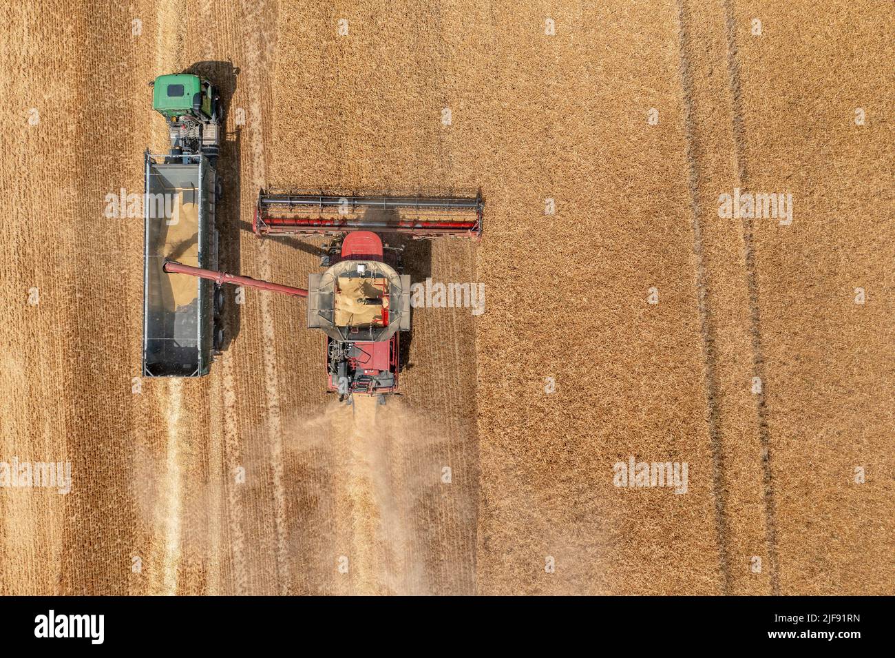 Rehbach, Allemagne. 30th juin 2022. Une moissonneuse-batteuse appartenant à Agrarprodukte Kitzen, par exemple, récolte de l'orge dans un champ proche de Leipzig. Normalement, la récolte ne commence pas ici avant juillet. Cette année, après la chaleur et la sécheresse, les agriculteurs de Saxe emportent leurs moissonneuses-batteuses dans les champs bien plus tôt dans de nombreux endroits. Agrarprodukte Kitzen, par exemple, exploite 2800 hectares de terres arables, dont les céréales s'étendent sur environ 1900 hectares. (Photo aérienne avec drone) (pour dpa, « les moissonneuses-batteuses roulent - début de récolte précoce pour les agriculteurs de Saxe ») crédit : Jan Woitas/dpa/Alay Live News Banque D'Images