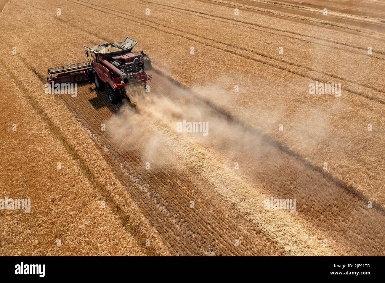 Rehbach, Allemagne. 30th juin 2022. Une moissonneuse-batteuse appartenant à Agrarprodukte Kitzen, par exemple, récolte de l'orge dans un champ proche de Leipzig. Normalement, la récolte ne commence pas ici avant juillet. Cette année, après la chaleur et la sécheresse, les agriculteurs de Saxe emportent leurs moissonneuses-batteuses dans les champs bien plus tôt dans de nombreux endroits. Agrarprodukte Kitzen, par exemple, exploite 2800 hectares de terres arables, dont les céréales s'étendent sur environ 1900 hectares. (Photo aérienne avec drone) (pour dpa, « les moissonneuses-batteuses roulent - début de récolte précoce pour les agriculteurs de Saxe ») crédit : Jan Woitas/dpa/Alay Live News Banque D'Images