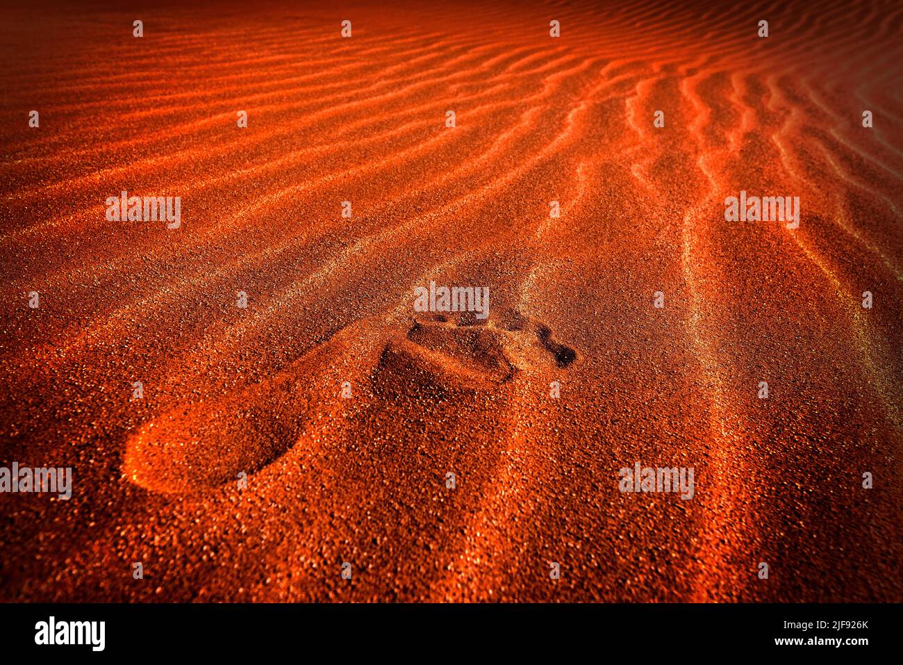 Dunes de sable dans le désert du Namib, Namibie, Banque D'Images