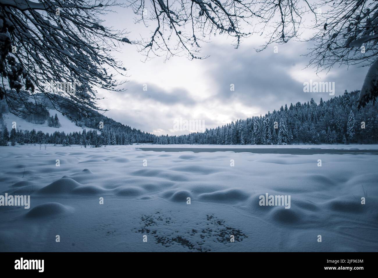 Vue rêveuse du lac gelé de Lispach dans les Vosges (France) à l'heure bleue avec ciel moody Banque D'Images