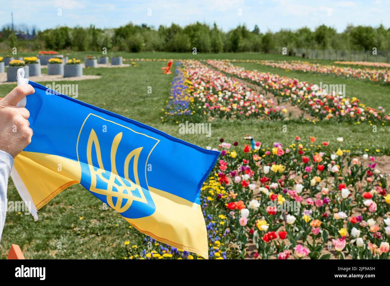 Main tenant le drapeau ukrainien sur fond jaune-bleu. Les enfants soutiennent l'Ukraine en montrant du cœur. Crise ukrainienne, agression russe en Ukraine. Guerre de la Russie contre l'Ukraine. Banque D'Images