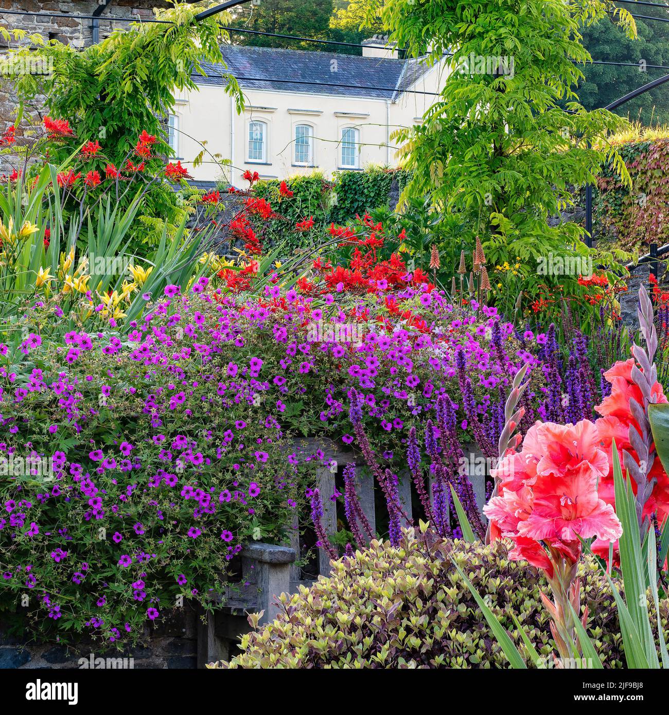 Le jardin en contrebas en juillet à Aberglasney Banque D'Images