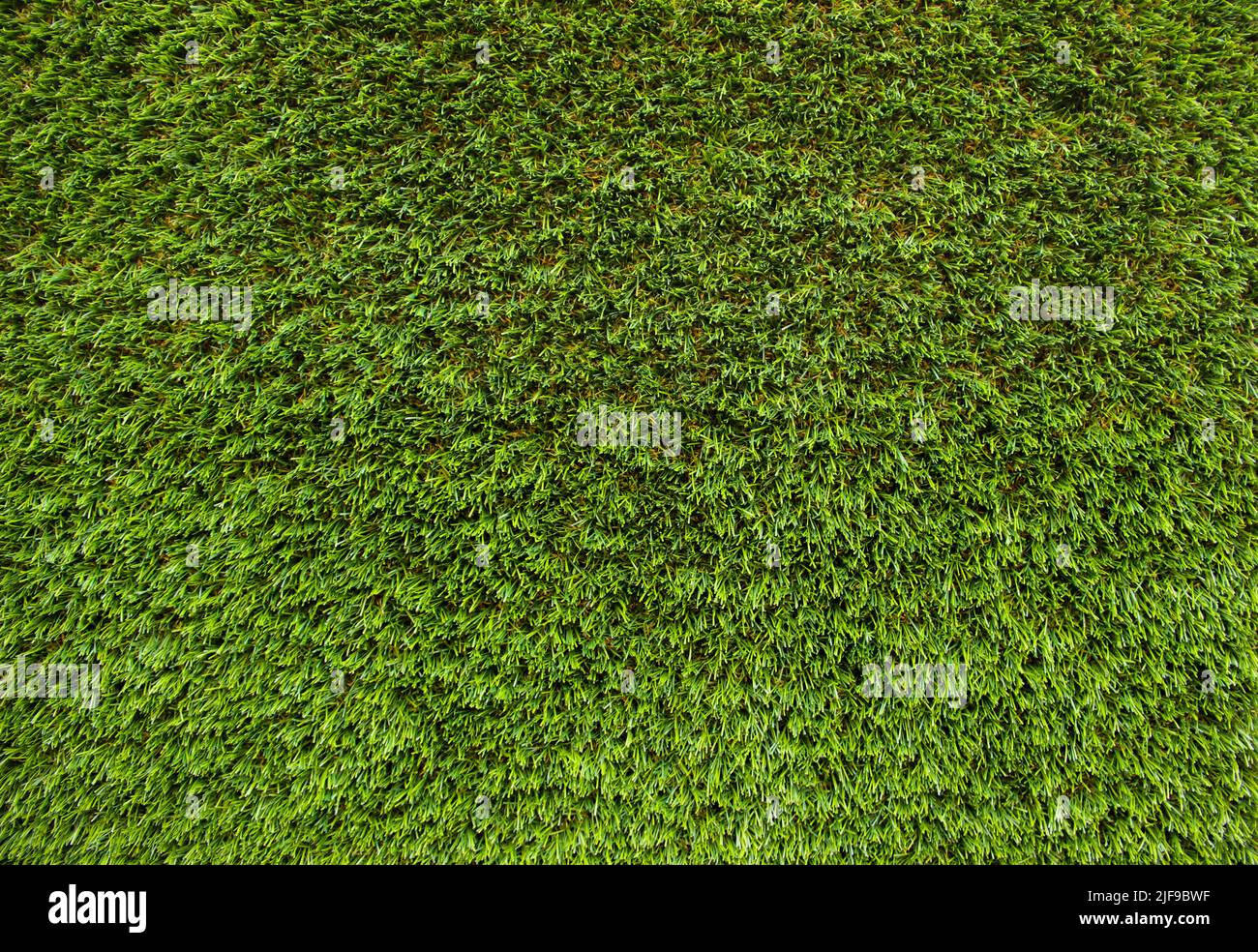 Fond vert artificiel. La texture de l'herbe verte vive. Herbe Evergreen. Banque D'Images