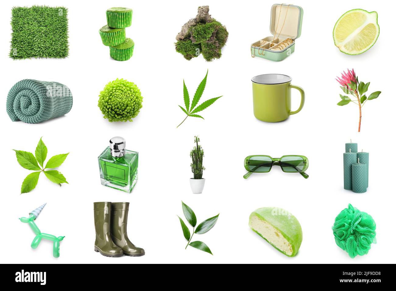 Collage de différents éléments verts sur fond blanc Banque D'Images