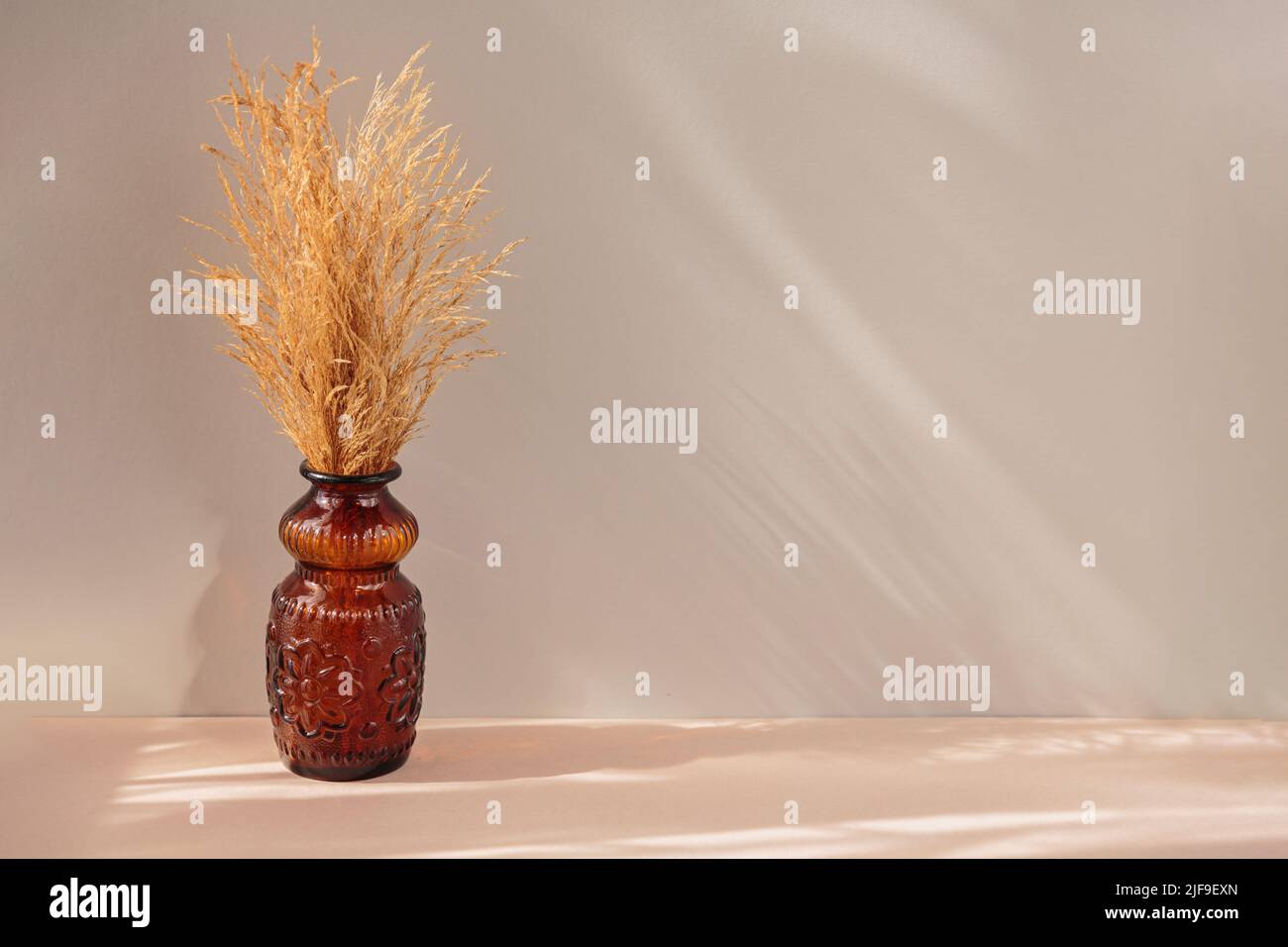 Herbe de pampas naturellement séchée dans un vase brun Banque D'Images
