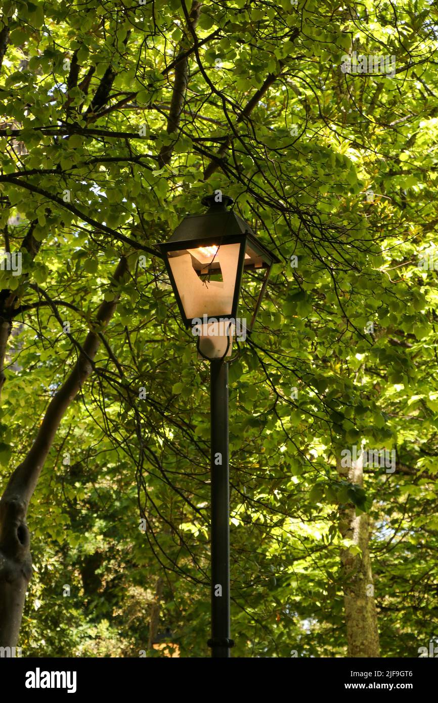 Un cliché vertical de la lampe de rue contre le feuillage vert. Banque D'Images