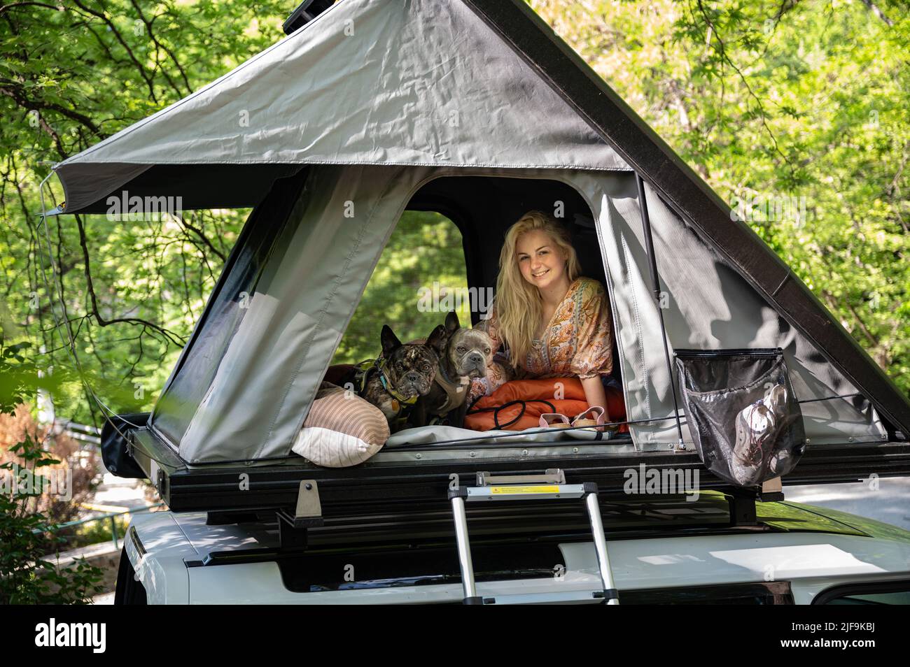 Femme blonde campant avec deux chiens dans une tente sur le toit au-dessus d'une voiture Banque D'Images