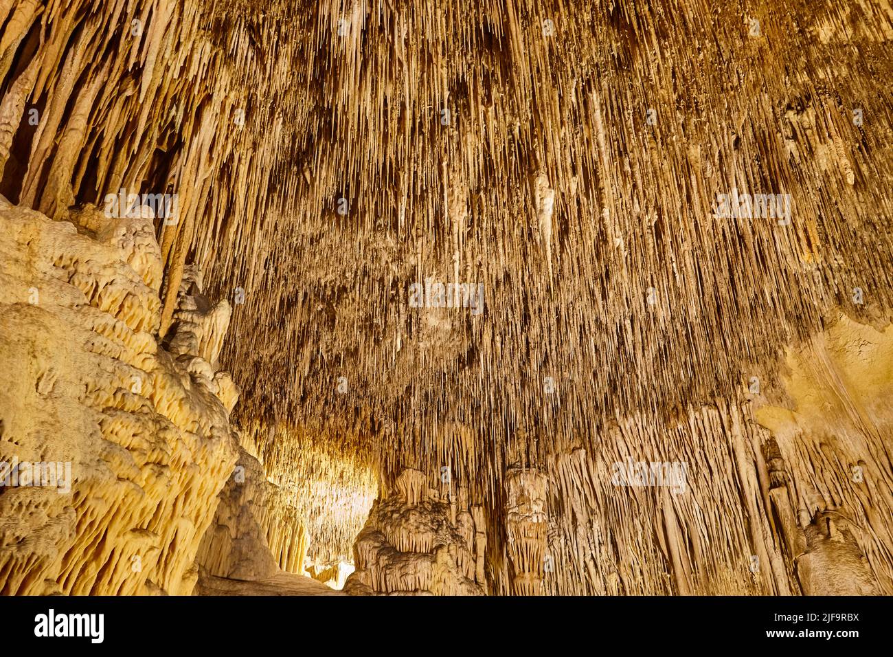 Stalactites dans une grotte de toit.Cuevas del Drach.Majorque, Espagne Banque D'Images