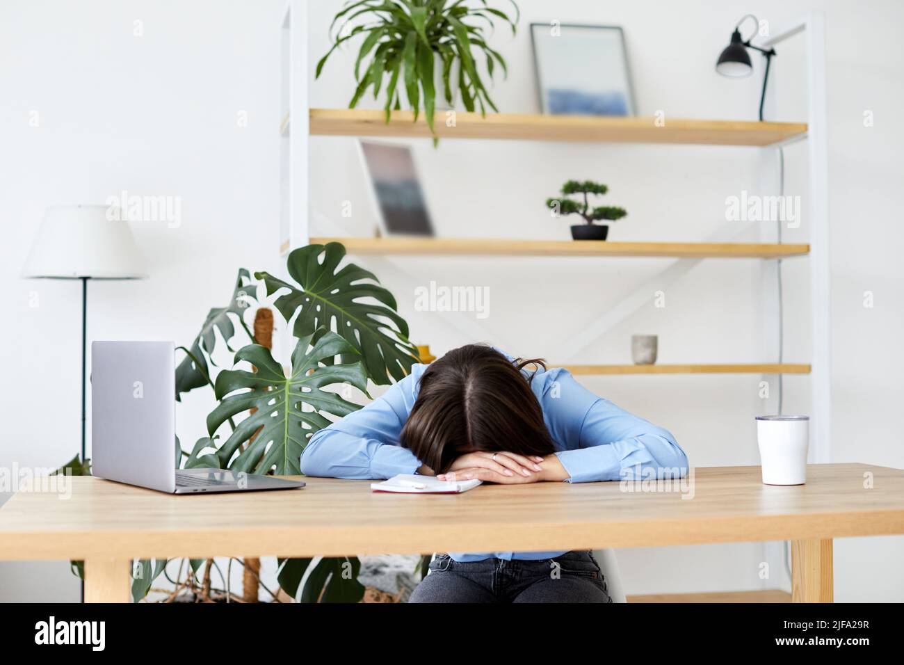 Femme endormie employée de bureau allongé sur une table avec un ordinateur portable, se sentant manquer d'énergie assis sur le lieu de travail. Banque D'Images