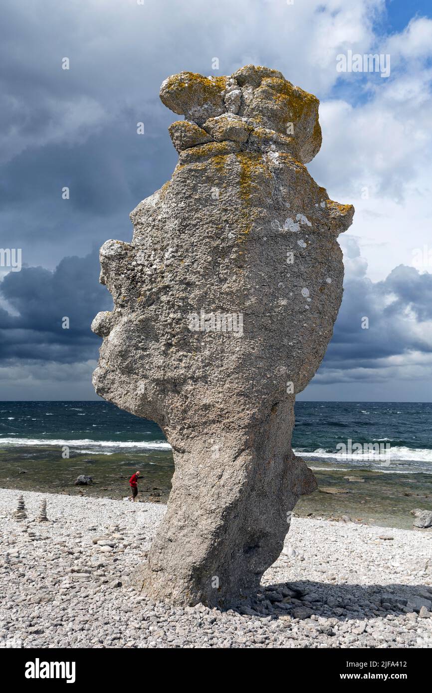 Fusée bizarre, Raukar, colonne de calcaire, rochers sur la plage de galets, érosion, Réserve naturelle de Langhammars, ciel nuageux spectaculaire, île de Faroe, Faroe, proche Banque D'Images