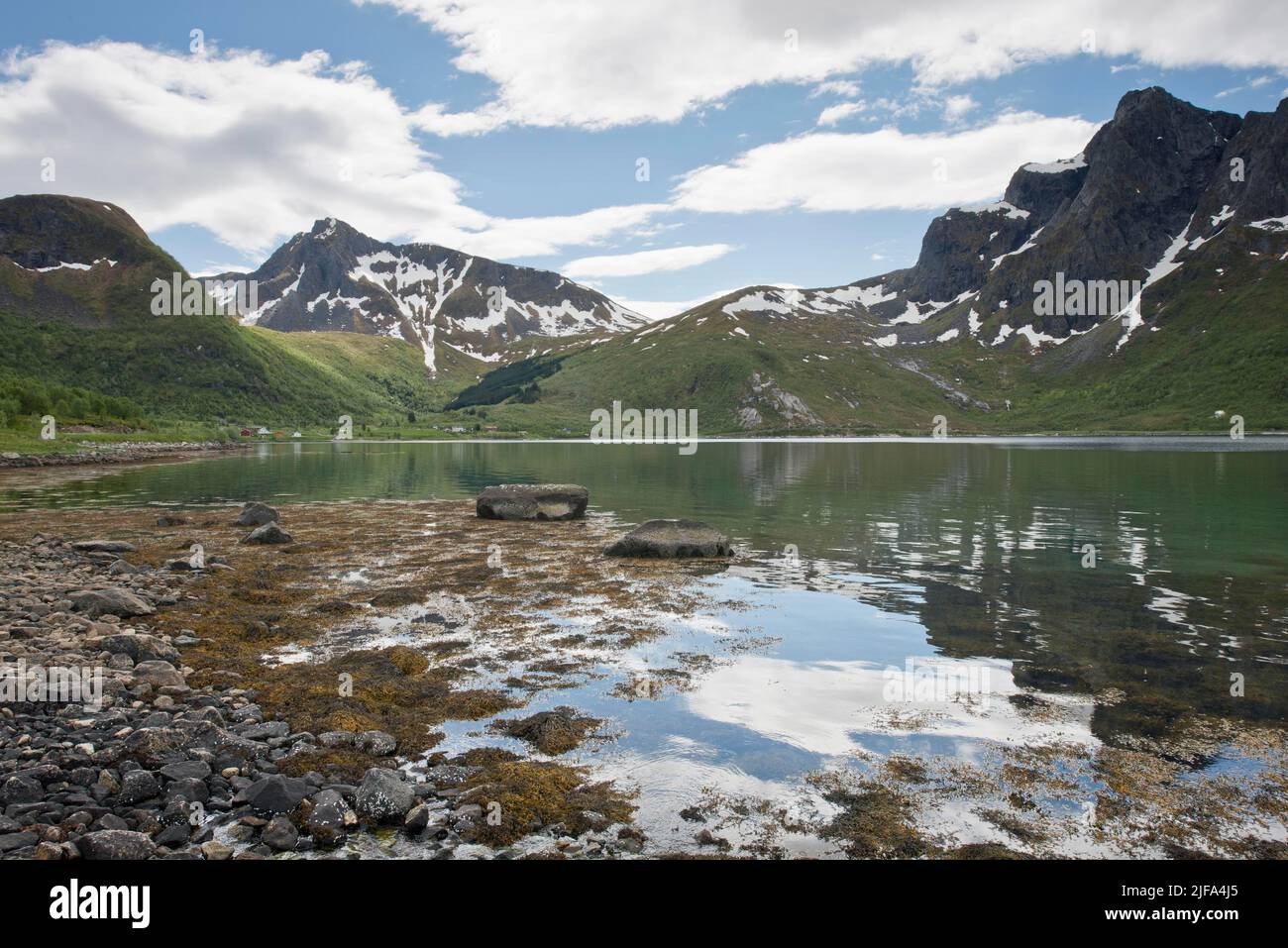Paysage de plage, Lofoten, Norvège Banque D'Images