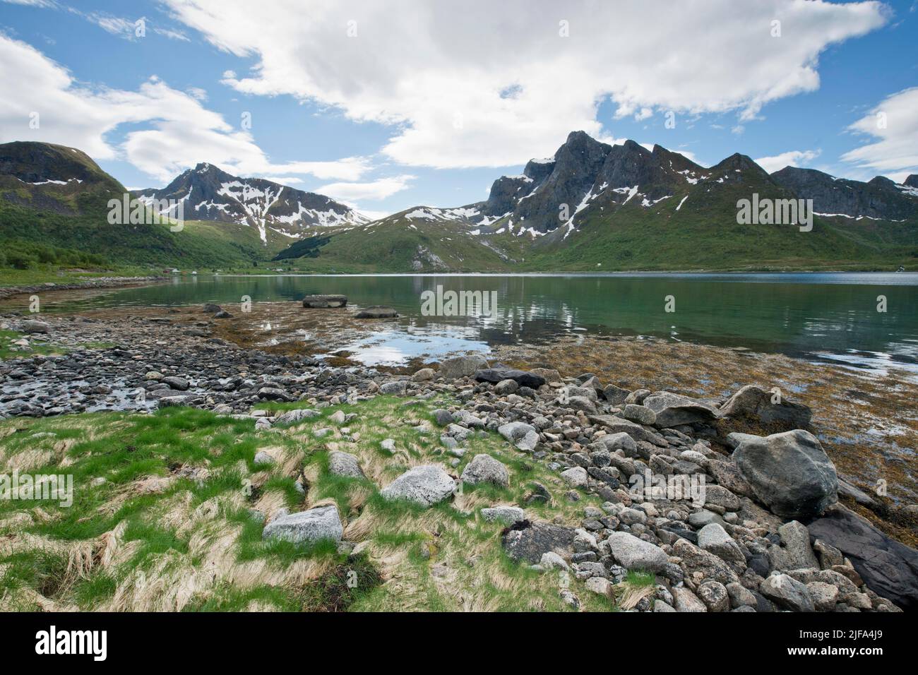 Paysage de plage, Lofoten, Norvège Banque D'Images